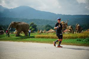 BIB: 
                            <button type="button" onclick="openModal(22434725)" class="btn btn-primary btn-sm float-right btn-popup" data-toggle="modal" data-target=".modal-high-quality">
                        <i class="fas fa-shopping-cart"></i> Add to Cart
                    </button>
                                            <button type="button" onclick="isThisMe(22434725, true)" class="btn btn-success btn-sm float-right btn-popup btn-isme hidden" data-toggle="tooltip" data-placement="bottom" title="นี่คือรูปของคุณใช่ไหม คลิกที่นี่เพื่อเอาเข้าอัลบั้ม">
                        <i class="fas fa-plus"></i> Add to album
                    </button>
                    <button type="button" onclick="isThisMe(22434725, false)" class="btn btn-warning btn-sm float-right btn-popup btn-isnotme hidden">
                        <i class="fas fa-ban"></i> Remove from album
                    </button>